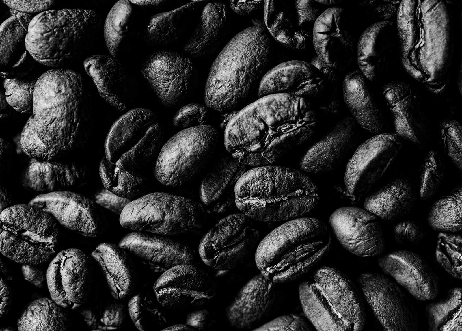 Quisque mattis eget sem nec accumsan. Nunc molestie dui ut quam elementum, eget sollicitudin urna malesuada